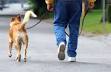 Il gruppo consiliare di Forza Italia presenta una mozione affinchè vengano reperite aree di passeggio e sgambatura per cani