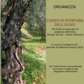 Pescia Istituto Tecnico Agrario "Anzilotti" : corso di potatura degli olivi