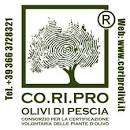 Accordo tra Coripro e Uncem per la tutela e valorizzazione dell'olio d'oliva toscano