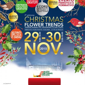 Pescia Mefit Domenica 29 e lunedì 30 novembre 2015 : Christmas flower trends