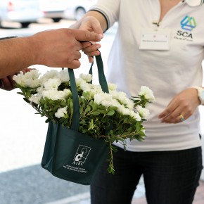 SCA Italia sostiene l’”Azalea della Ricerca” di AIRC, fiore simbolo della battaglia contro i tumori femminili