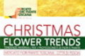 Christmas Flower Trends riconferma il suo appuntamento assieme alla Festa dei Nonni