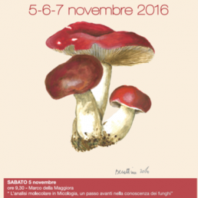 18° Mostra micologica Istituto Agrario, 5 / 6 / 7 Novembre 2016