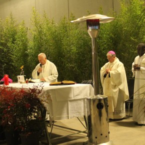 PASTORALE SOCIALE DEL LAVORO     Auguri e Santa Messa del Vescovo di Pistoia al mondo agricolo
