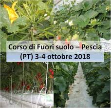 Pescia 3-4 ottobre Seminario di formazione di 3° livello sulla Gestione delle Colture Idroponiche ed in Fuori Suolo