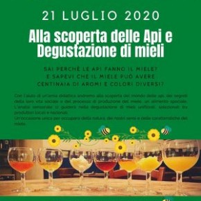 Fattoria di Pietrabuona martedì 21 luglio. Alla scoperta delle api e degustazione di mieli