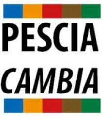 Pescia Cambia “ Niccolai dimostra in poche parole perché i pesciatini abbandonano il Pd''.