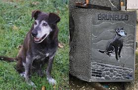Vellano dedica una scultura  a Brunello , un cane abbandonato che ha vissuto 17 anni con l'intera comunità paesana.