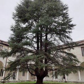 SABATO 30 GENNAIO  - Riprendono le visite guidate all'ex Ospedale psichiatrico di Maggiano