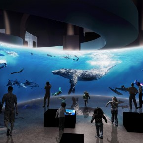 A Portoferraio un percorso emozionale tra i mammiferi marini: svelato il progetto del nuovo Centro internazionale
