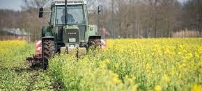 PATENTINI TRATTORI. Coldiretti organizza corsi anche per gli hobbisti