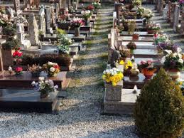 Ricerca familiari o aventi diritto per sistemazione resti mortali salme esumate nel cimitero di Pescia