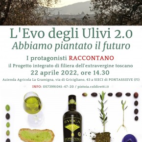EVO 2.0: il progetto della filiera dell'extravergine toscano 'apre' un nuovo frantoio... a Sud di Firenze