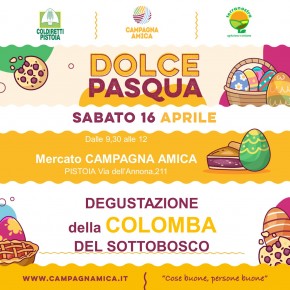 PASQUA: COLOMBA BATTE UOVO  E al mercato Campagna Amica di Pistoia  si degusta la colomba ‘contadina’ del Sottobosco  SABATO IN VIA DELL’ANNONA
