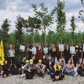 PAESAGGIO. L'ARTISTICO IN COLLINA... A VEDERE GLI ALBERI DEL FUTURO IN 5 CATEGORIE