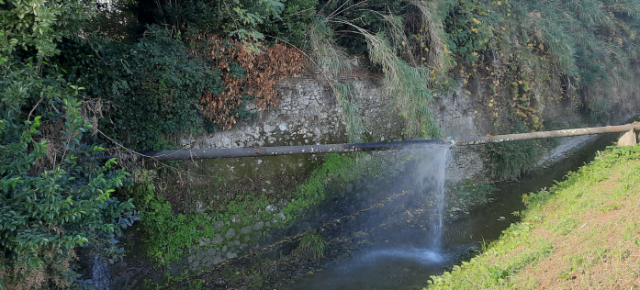 Manuela Angeli (Fdi) segnala una dispersione di molti litri d'acqua  da una tubatura in zona Alberghi