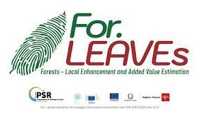 For.LEAVEs a Prato a partire dal 12 aprile un corso breve con vari appuntamenti per studiare le forme di gestione sostenibile del bosco.