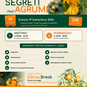 PESCIA - SABATO 19 SETTEMBRE: ''SCOPRI I SEGRETI DEGLI AGRUMI''.