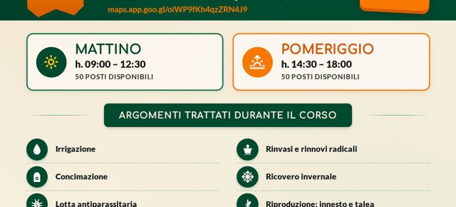 PESCIA - SABATO 19 SETTEMBRE: ''SCOPRI I SEGRETI DEGLI AGRUMI''. PESCIA - SABATO 19 SETTEMBRE: ''SCOPRI I SEGRETI DEGLI AGRUMI''.