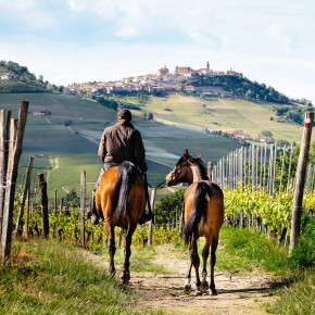 Turismo rurale con il cavallo: "dall'aula al mercato reale" per costruire una nuova offerta turistica  Il 21, 22 e 23 settembre tre appuntamenti sul territorio a Pomarance, Santallago e Filattiera per co-progettare un catalogo di pacchetti turistici pronti per la commercializzazione.