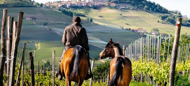 Turismo rurale con il cavallo: "dall'aula al mercato reale" per costruire una nuova offerta turistica Il 21, 22 e 23 settembre tre appuntamenti sul territorio a Pomarance, Santallago e Filattiera per co-progettare un catalogo di pacchetti turistici pronti per la commercializzazione. Turismo rurale con il cavallo: "dall'aula al mercato reale" per costruire una nuova offerta turistica Il 21, 22 e 23 settembre tre appuntamenti sul territorio a Pomarance, Santallago e Filattiera per co-progettare un catalogo di pacchetti turistici pronti per la commercializzazione.