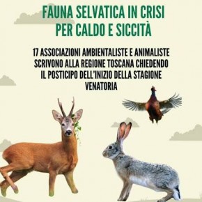 Legambiente Pistoia: ''LA SICCITÀ IN TOSCANA NON FERMA LA CACCIA IL PRESIDENTE GIANI HA DATO IL VIA ALLA MATTANZA INASCOLTATO L'APPELLO DELLE ASSOCIAZIONI AMBIENTALISTE E ANIMALISTE''.