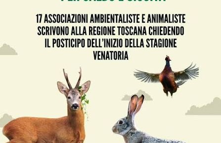 Legambiente Pistoia: ''LA SICCITÀ IN TOSCANA NON FERMA LA CACCIA IL PRESIDENTE GIANI HA DATO IL VIA ALLA MATTANZA INASCOLTATO L'APPELLO DELLE ASSOCIAZIONI AMBIENTALISTE E ANIMALISTE''. Legambiente Pistoia: ''LA SICCITÀ IN TOSCANA NON FERMA LA CACCIA IL PRESIDENTE GIANI HA DATO IL VIA ALLA MATTANZA INASCOLTATO L'APPELLO DELLE ASSOCIAZIONI AMBIENTALISTE E ANIMALISTE''.