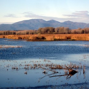 Legambiente Pistoia Area Valdinievole: ''Padule di Fucecchio: sicurezza idraulica e conservazione ambientale sono obiettivi convergenti''.