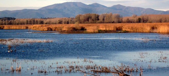 Legambiente Pistoia Area Valdinievole: ''Padule di Fucecchio: sicurezza idraulica e conservazione ambientale sono obiettivi convergenti''. Legambiente Pistoia Area Valdinievole: ''Padule di Fucecchio: sicurezza idraulica e conservazione ambientale sono obiettivi convergenti''.