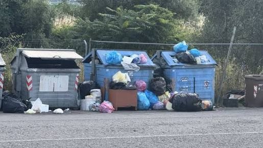 RIFIUTI, A PESCIA LA SITUAZIONE È PEGGIORATA: SEI SEGNALAZIONI E NESSUNA SOLUZIONE. FDI TORNA ALL’ATTACCO RIFIUTI, A PESCIA LA SITUAZIONE È PEGGIORATA: SEI SEGNALAZIONI E NESSUNA SOLUZIONE. FDI TORNA ALL’ATTACCO