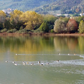 Legambiente Pistoia – Area Valdinievole: calendario escursioni novembre 2026.