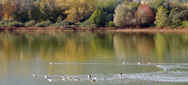 Legambiente Pistoia – Area Valdinievole: calendario escursioni novembre 2026.