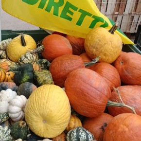 Halloween. Torna al Mercato Campagna Amica il laboratorio per bambini della zucca decorata