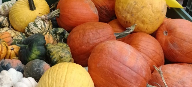 Halloween. Torna al Mercato Campagna Amica il laboratorio per bambini della zucca decorata Halloween. Torna al Mercato Campagna Amica il laboratorio per bambini della zucca decorata